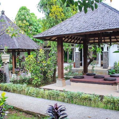 Araminth Guest House And Spa Ловина Экстерьер фото