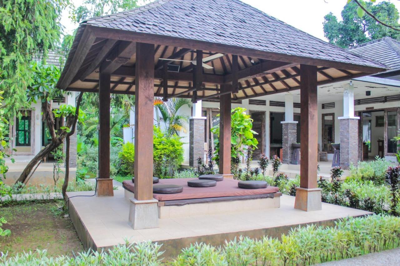 Araminth Guest House And Spa Ловина Экстерьер фото